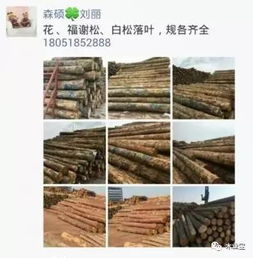 履約思源，不忘初心——2017年4月2日精品木材銷售信息發(fā)布